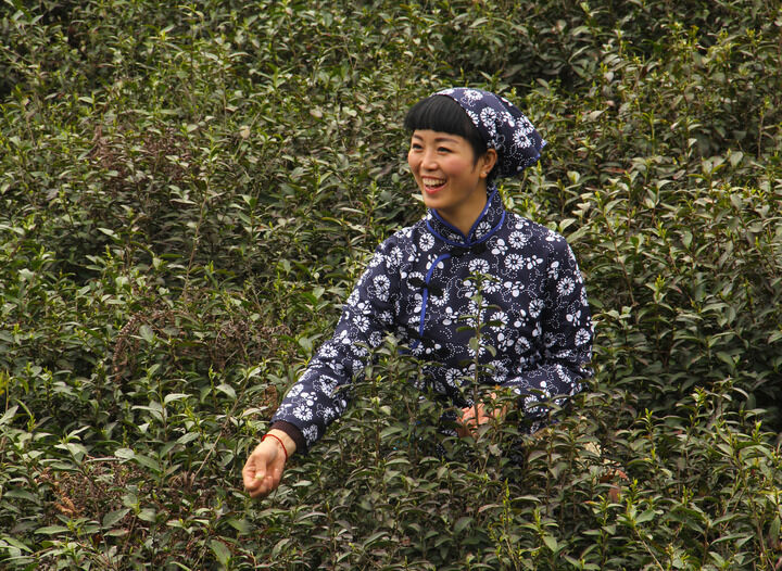 雨伞与手枪